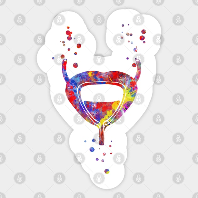 Bladder urinary system Sticker by RosaliArt